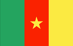 Kamerun - vlajka Kamerunu 