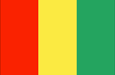 Guinea - vlajka Guiney