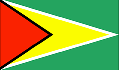 Guyana- vlajka Guyany
